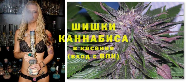 эйфоретик Арсеньев