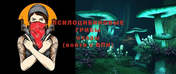 эйфоретик Арсеньев