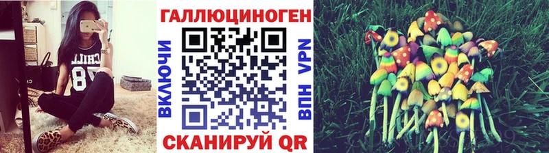 Купить  Бирск  Псилоцибиновые грибы Psilocybine cubensis 